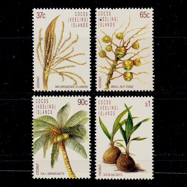 COCOS ISLANDS(ڽ )-#173~6(4)-LIFE CYCLE OF THE COCONUT(ڳ )-1988.4.13