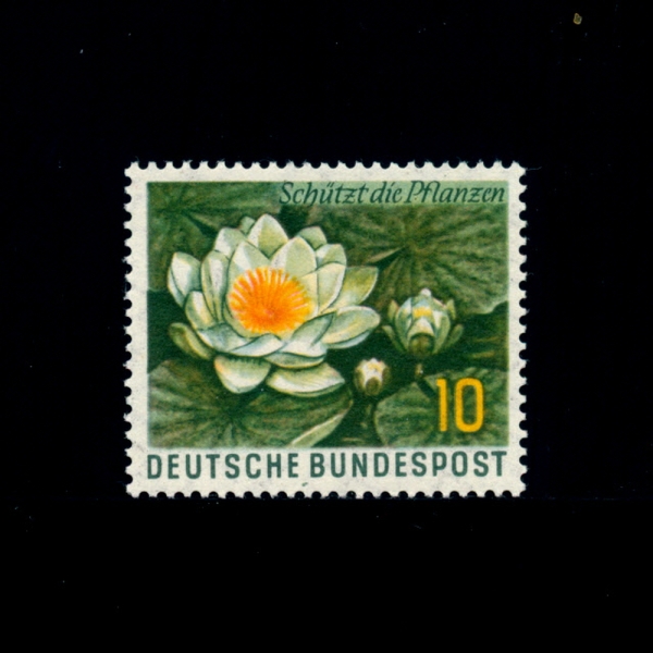 GERMANY()-#773-10pf-WATER LILY()-1957.10.4