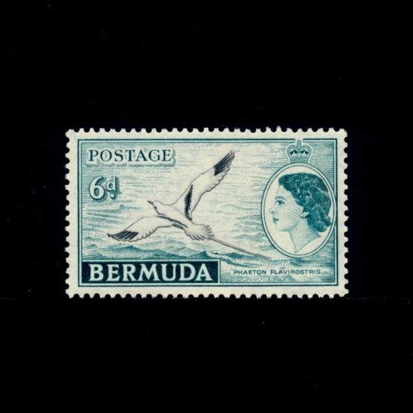 BERMUDA(버뮤다)-#152-6p-BERMUDIAN WATER SCENE AND YELLOW-BILLED TROPIC BIRD(노란색 청구 열대 조류)-1953년