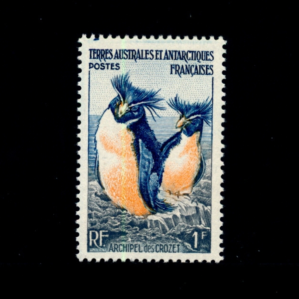FRENCH SOUTHERN & ANTARCTIC TERRITORY(    )-#2-1f-ROCKHOPPER PENGUINS, CROZET ARCHIPELAGO(ȣ )-1956.4.25