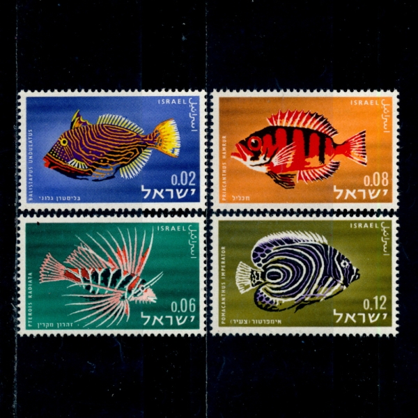 ISRAEL(̽)-#246~9(4)-RED SEA FISH(ȫ )-1963.12.16