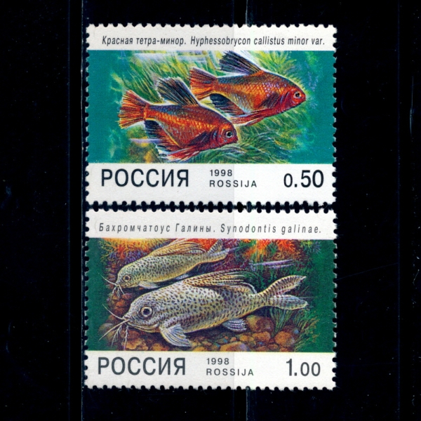RUSSIA(þ)-#6442~3(2)-AQUARIUM FISH( )-1998.2.25