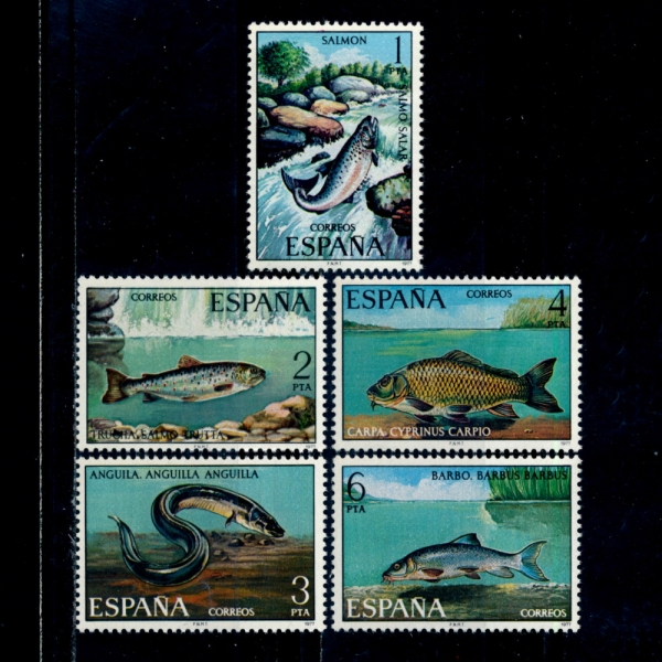 SPAIN()-#2031~5(5)-FISH()-1977.3.8