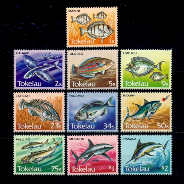 TOKELAU(̶)-#104~13(10)-LOCAL FISH( )-1984.12.5