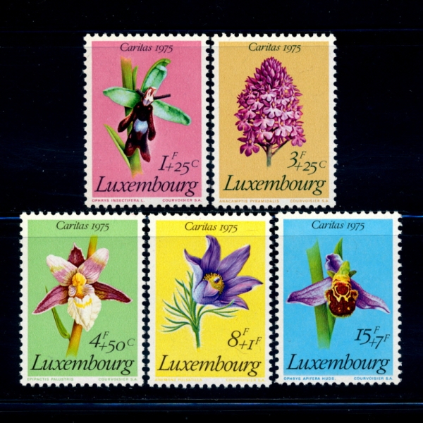 LUXEMBOURG(θũ)-#B303~7(5)-ORCHID AND FLOWER(,Ĺ)-1975.12.4