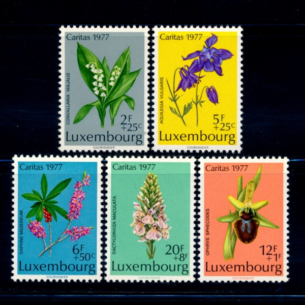LUXEMBOURG(θũ)-#B313~7(5)-ORCHID AND FLOWER(,Ĺ)-1975.12.5