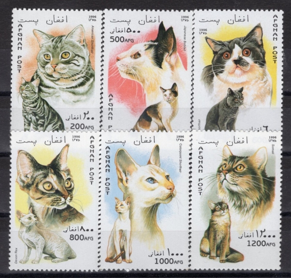 AFGHANISTAN(�������Ͻ�ź)-#YR96(6��)-CATS(������)-1996��