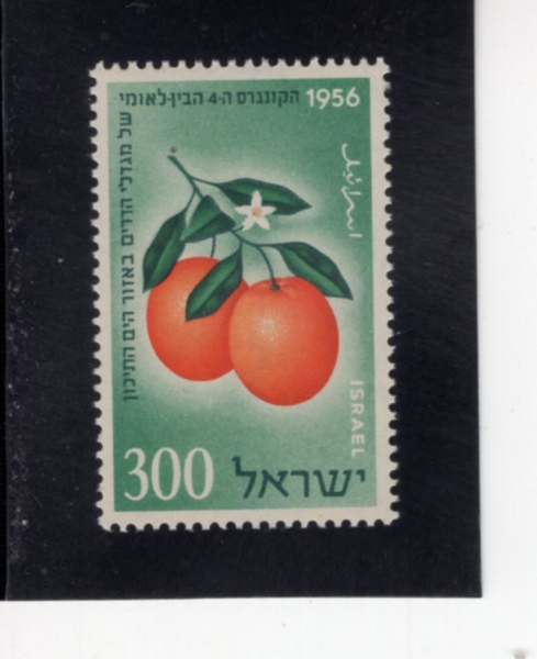 ISRAEL(�̽���)-#120-300p-JAFFA ORANGES(���� ������)-1956.5.20��