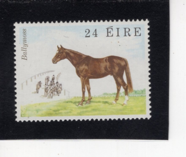 IRELAND(���Ϸ���)-#508-24p-FLAT RACER BALLYMOSS(�߸���)-1981.10.23��