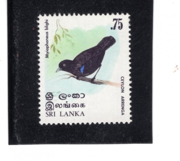 SRI LANKA(������ī)-#566-75c-ARRENGA(�Ʒ���)-1979.12.13��