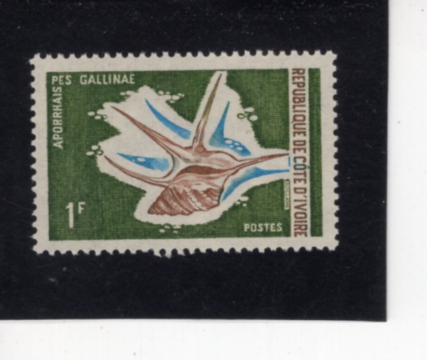 IVORY COAST(���̺��� �ڽ�Ʈ)-#301-1fr-APORHAISPES GALLINAE(�������̽� �佺��������)-1971.10.23��