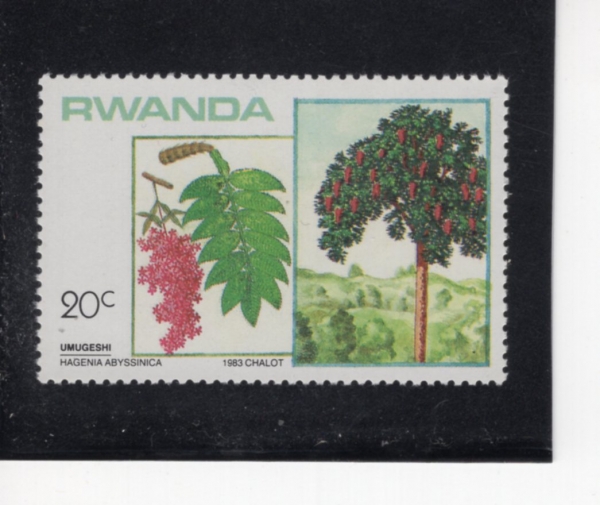 RWANDA(���ϴ�)-#1167-20c-HAGENIA ABYSSINICA(�ϰԴϾ�)-1984.1.15��