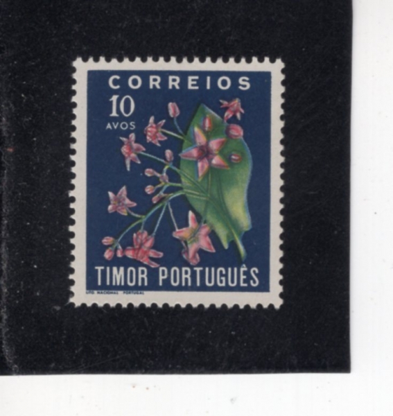 TIMOR(Ƽ��)-#262-10a-FLOWER(���� ����)-1950��