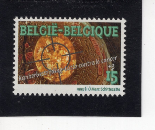 BELGIUM(���⿡)-#B1110-15+3fr-FIGHT AGAINST CANCER(�ϰ��� �ο�)-1993.9.20��