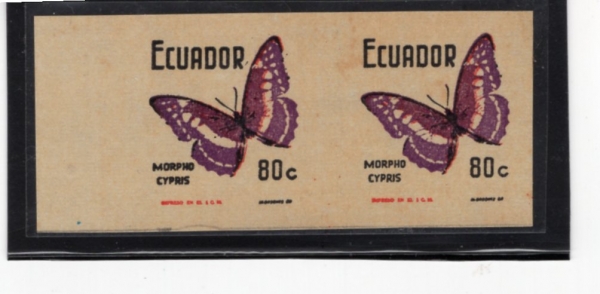 ECUADOR(⵵)-#795- 2-MORPHO CYPRIS()-1970