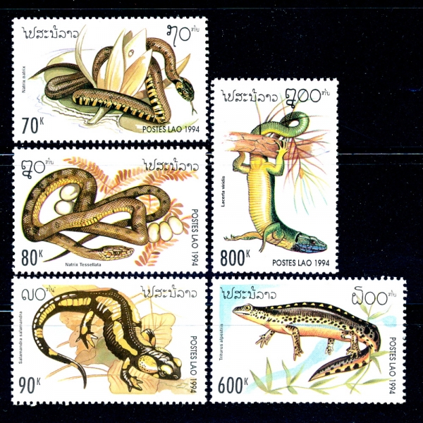 LAOS()-#1178~82(5)-REPTILES()-1994.8.1