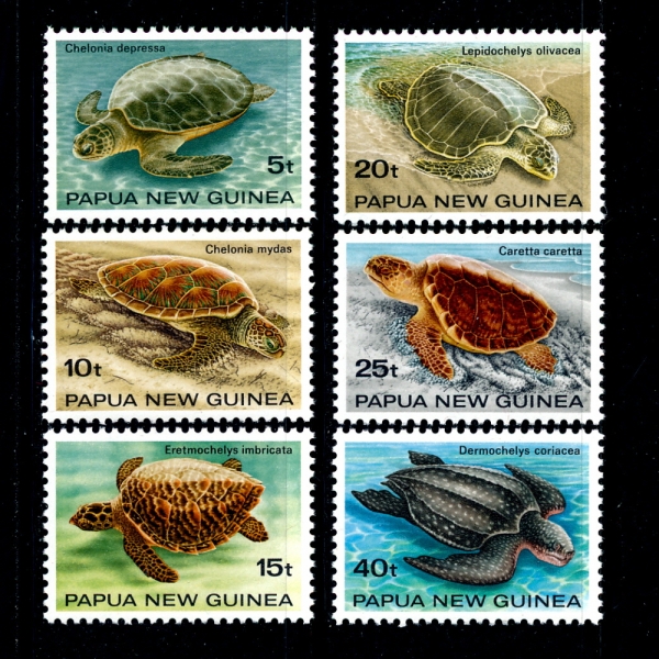 PAPUA NEW GUINEA(Ǫƴ)-#592~7(6)-TURTLES(ź)-1984.2.8