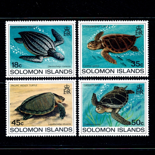 SOLOMON ISLANDS(ַθ)-#489~92(4)-TURTLES(ź)-1983.1.5