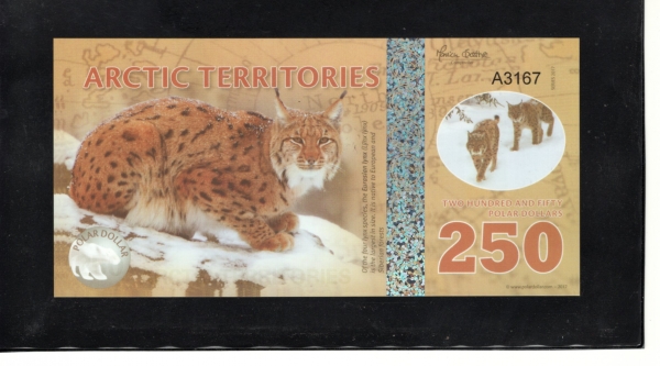 ARCTIC TERRITORIES-ϱ-250 DOLLARS-POLYMER PLASTIC PAPER-2017