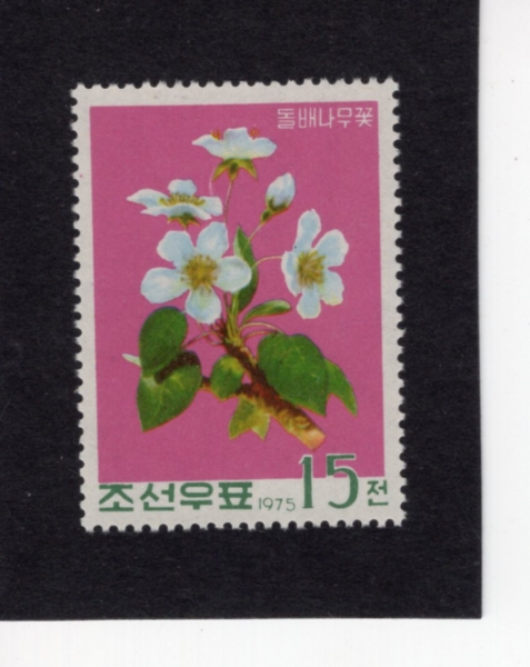 KOREA,DEMOCRATIC PEOPLE\