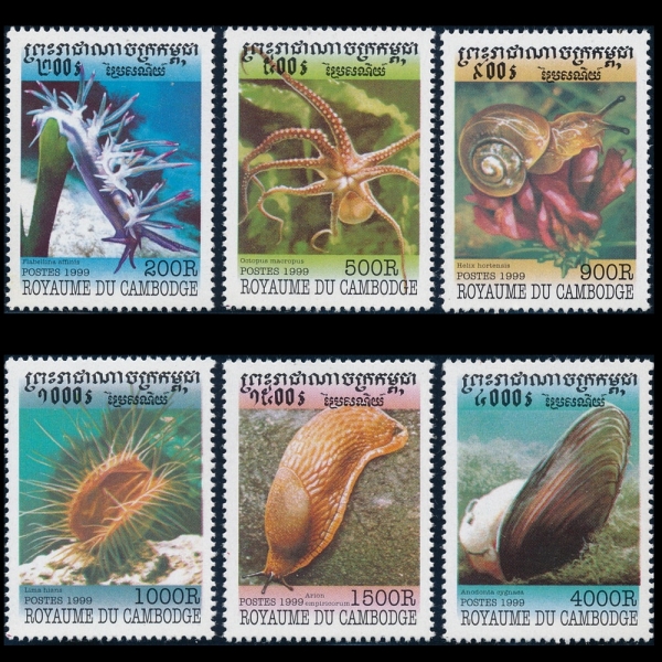 CAMBODIA(į)-#1839~44(6)-SEA SHELLS(ٴ )-1999.5.31