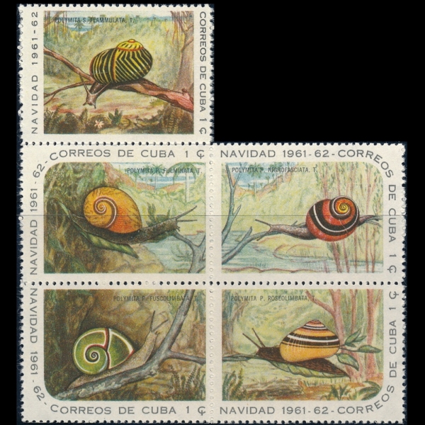 CUBA()-#686~9(5)-SNAILS()-1961.12.1
