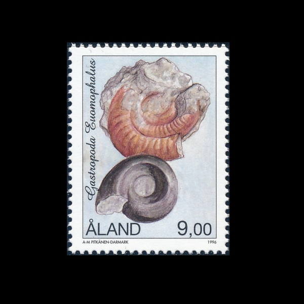 ALAND ISLANDS(ö )-#106-9m-GASTROPODA EUOMOPHALUS( ü)-1996.10.9