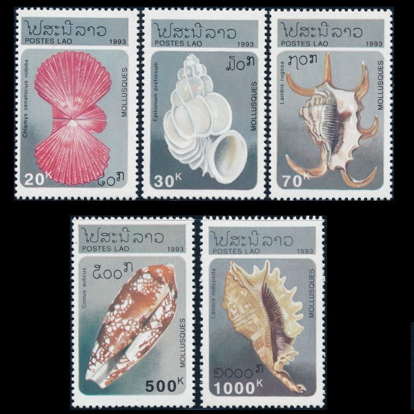 LAOS()-#1130~4(5)-SEASHELLS(ٴ )-1993.5.29