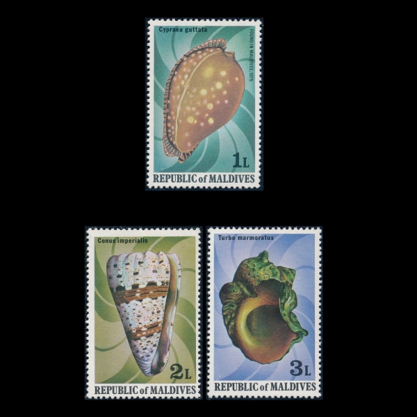 MALDIVE ISLANDS( )-#786~8(3)-SEASHELLS(ٴ )-1979.1
