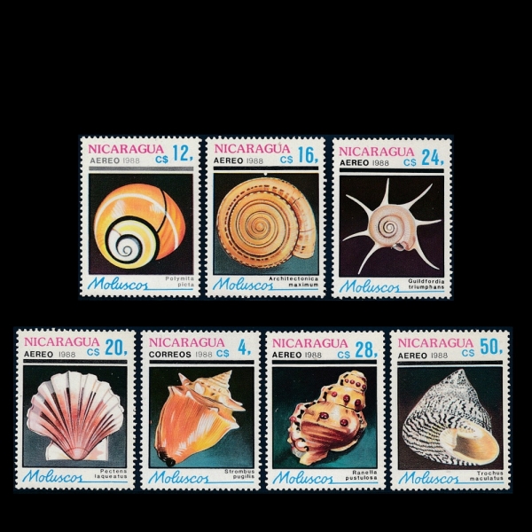 NICARAGUA(ī)-#1719~25(7)-SEASHELLS(ٴ )-1988.9.20