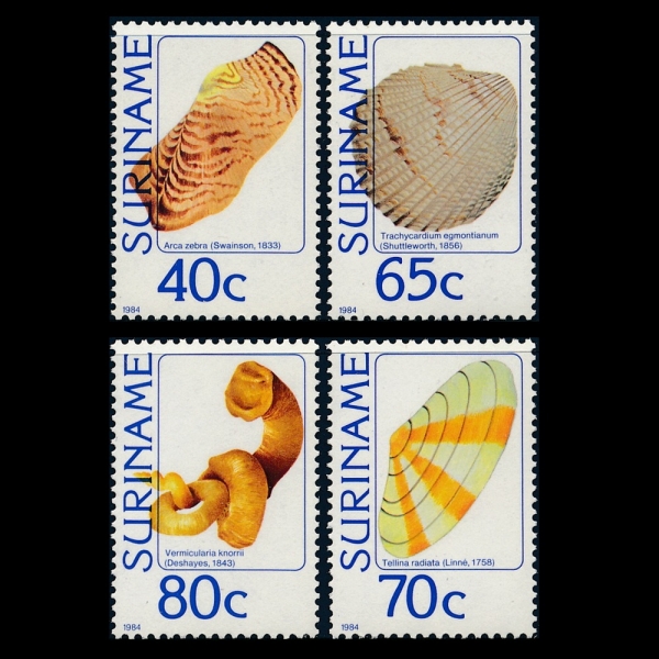 SURINAM()-#669~72(4)-SEASHELLS(ٴ )-1984.2.22