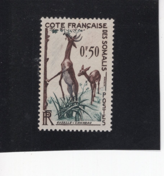 SOMALIA COAST(Ҹ ؾȼ)-#273-50c-GERENUK(⸰ )-1958