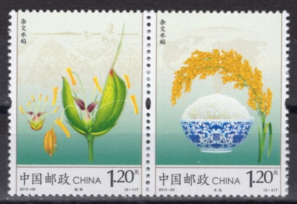 CHINA(߱)-#4163a~b(2)-HYBRID RICE( )-2013.10.25