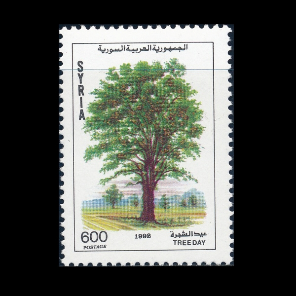SYRIA(ø)-#1285-600p-ARBOR DAY(ĸ)-1992.12.31