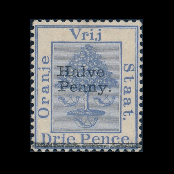 ORANGE RIVER COLONY(ī ȭ   )-#42-1/2p on 3p-ORANGE TREE()-1896