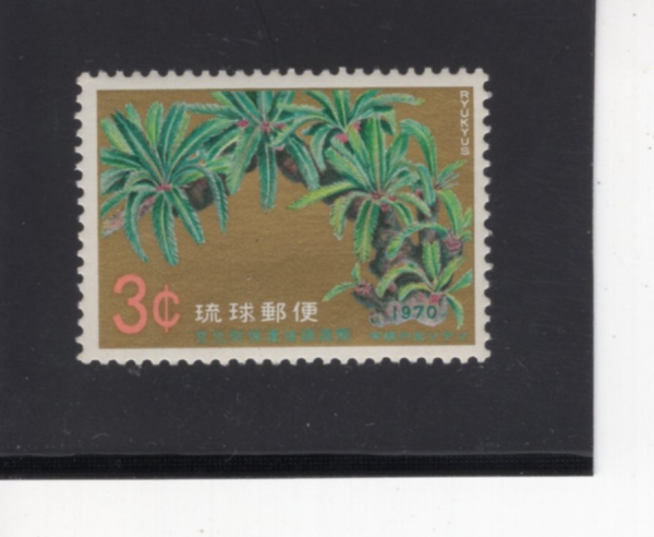 RYUKYU ISLANDS(��ť ����)-#205-3c-GREAT CYCAD OF UNE(���� ���ö)-1970.11.2��